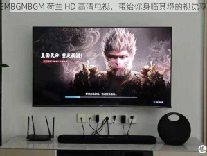 BGMBGMBGM 荷兰 HD 高清电视，带给你身临其境的视觉享受