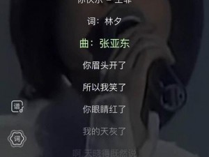 来吧儿子妈妈是你的人是什么歌名—来吧儿子，妈妈是你的人，这是什么歌名？