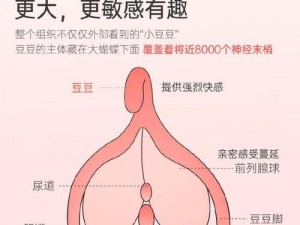 成人牲生活 A 片毛，让你享受不一样的私密体验