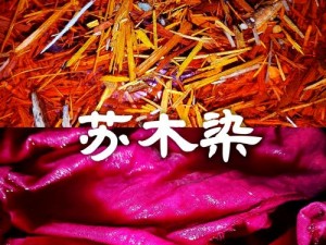 球球大作战红石榴染料的奥秘：染色秘诀与获取途径详解