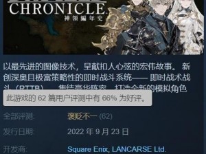 神领编年史Steam价格详解：最新信息与购买建议