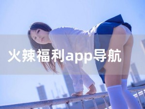 大菠萝福建 app 导航入口——汇聚各类实用功能，满足你的所有需求