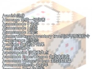 探索Minecraft：命令方块指令指南与闪电弓的神秘联系