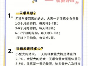 全民农场小狗哈皮：狗粮妙用全面解析，健康喂养新篇章