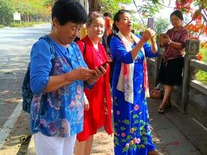 oldwoman老太中國时尚中老年女装，舒适面料，精致剪裁，多款多色，让你美丽绽放