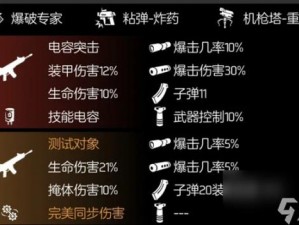 《全境封锁2》芳心终结者进阶攻略：深度解析最佳配装策略，提升角色战力指南》