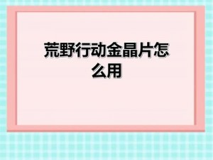 荒野行动金晶片兑换攻略：详细步骤及兑换技巧揭秘