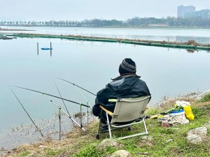 小潭垂钓美景实拍，沉浸式体验垂钓乐趣，领略自然韵味