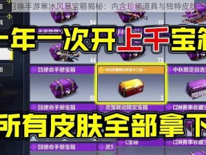 使命召唤手游寒冰风暴宝箱揭秘：内含珍稀道具与独特皮肤一览