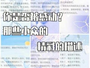 星月娱乐，打造全新娱乐体验，让你的生活更加精彩