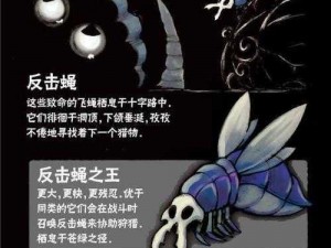 空洞骑士水晶宫殿二楼Boss战攻略：实战技巧与打法解析