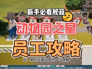 动物园之星：员工设施美化策略与方法详解