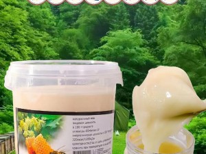 俄罗斯韩国进口蜂蜜椴树雪蜜 500g 俄罗斯椴树雪蜜 纯正天然结晶椴树蜜