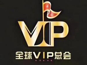 尊贵体验，尽在 vip 服务