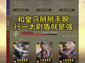 三国志12威力加强版名马武将捕缚攻略：策略与实战详解