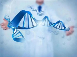 探究欧洲人与亚洲人 DNA 差异的基因检测产品