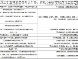 《龙之》亚马逊装备升级攻略：实战心得分享加点与出装全指南