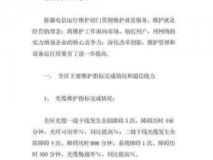 《热血无赖》软件运行及解决方案整理汇总报告：运行障碍分析总结报告