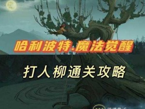 哈利波特魔法觉醒打人柳奖励深度解析：奖励系统获取途径及其价值评估