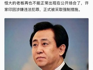 恒大许家印玩白册册小说，这是为何？有何影响？又该如何应对？