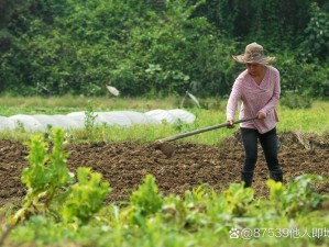 耕耘大婶的肥沃的土地是什么意思？为何要耕耘？如何进行？