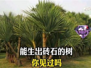 悠久之树中钻石的神秘作用与玩家热衷大量获取的深层原因探索