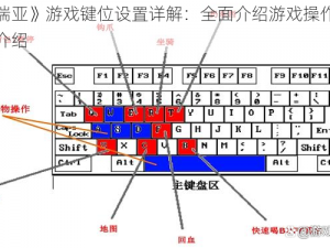 《泰拉瑞亚》游戏键位设置详解：全面介绍游戏操作按键及其功能介绍