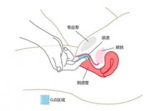 为什么-如何-怎样把自己弄到喷泉里？安全指南