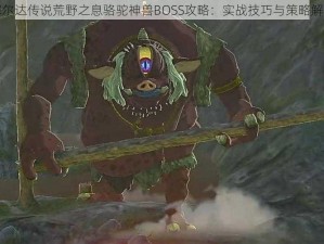 塞尔达传说荒野之息骆驼神兽BOSS攻略：实战技巧与策略解析