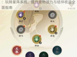 龙族幻想宠物星阵与结伴收益最大化攻略解析：玩转星阵系统，提升宠物战力与结伴收益全面指南