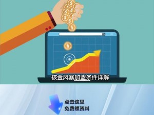 针对核金风暴游戏无法进入的解决办法及实用指南