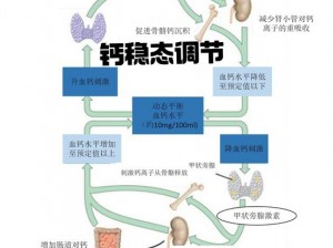 2023 男男钙 GGY 钙站——专注男性健康，提供全面的营养支持