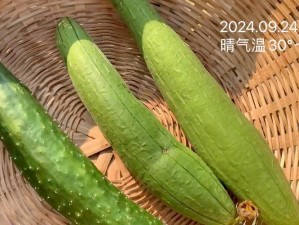 新鲜采摘，口感鲜美，营养丰富的丝瓜秋葵草莓香蕉榴莲芒果大全