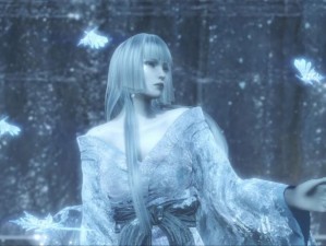 黑暗之魂画中世界雪女攻略指南：探索神秘冰雪领域，攻略技巧全解析