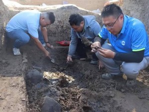 村头散步发现古墓，考古专家实地考察