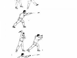 甲级弟子飞刀传人宝典：揭秘飞刀技艺传承与精湛技艺图鉴