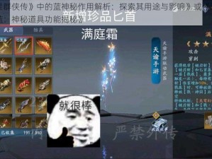 《流星群侠传》中的蓝神秘作用解析：探索其用途与影响》或《流星群侠传蓝：神秘道具功能揭秘》