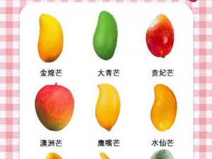 芒果精品1区2区3区4区 芒果精品 1 区 2 区 3 区 4 区，你了解多少？