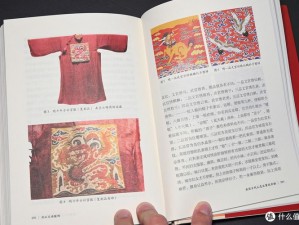 《大掌门丁级服饰士卒甲图鉴：细品历史变迁中的服饰文化》