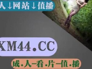 日韩无人区码卡二卡 3，一款让你畅游日韩无人区的神器