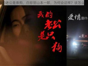 我的老公是条狗，白珍丽山本一郎，为何会这样？该怎么办？