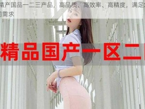 99 精产国品一二三产品，高品质、高效率、高精度，满足您的不同需求