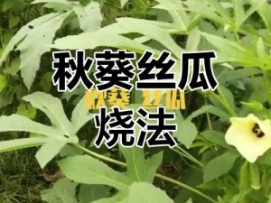 新鲜采摘，营养丰富的草莓、丝瓜、榴莲、秋葵，满足您对健康与美味的追求