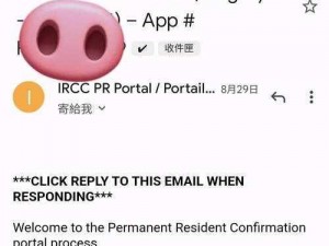 Portal Man电脑版下载链接及详细安装指南