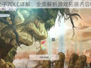 光之子7DLC详解：全面解析游戏拓展内容概览