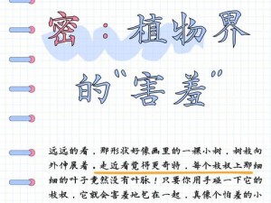 含羞草成年实验所：揭秘植物生长的奥秘