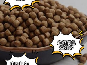 创造与魔法：魔法龟的饮食之谜——探寻其食物偏好与营养需求