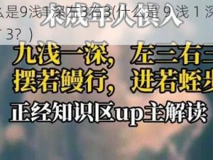 什么是9浅1深左3右3(什么是 9 浅 1 深左 3 右 3？)