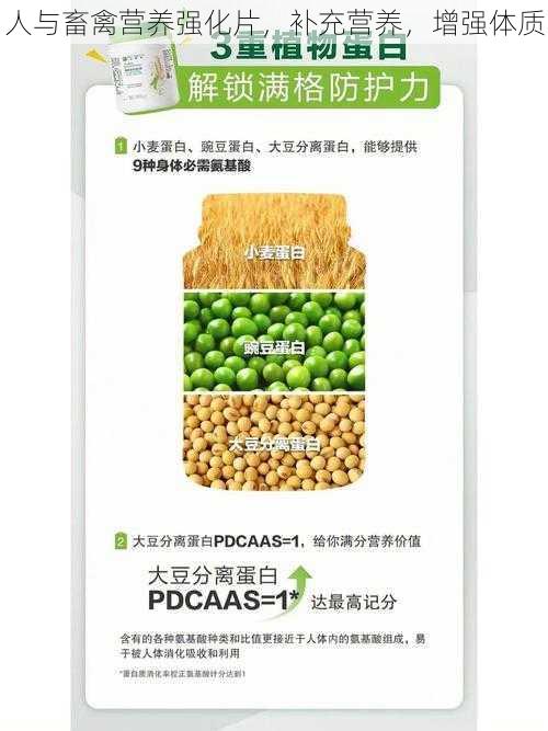 人与畜禽营养强化片,补充营养,增强体质