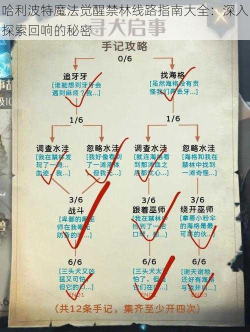 哈利波特魔法觉醒禁林线路指南大全：深入探索回响的秘密